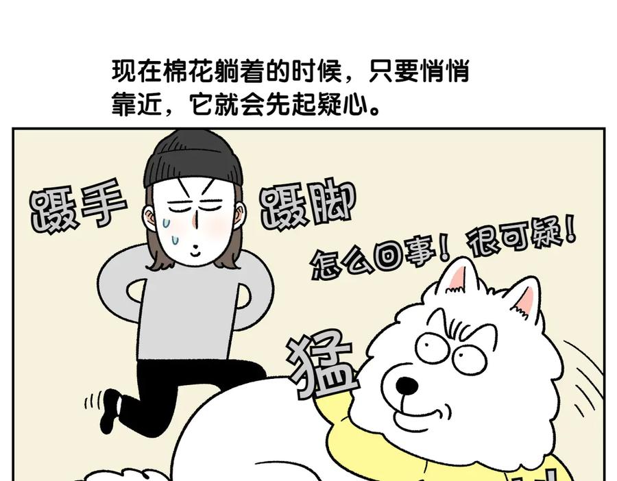 《我的狗子叫棉花》第43话 治疗眼病(2) 第5页