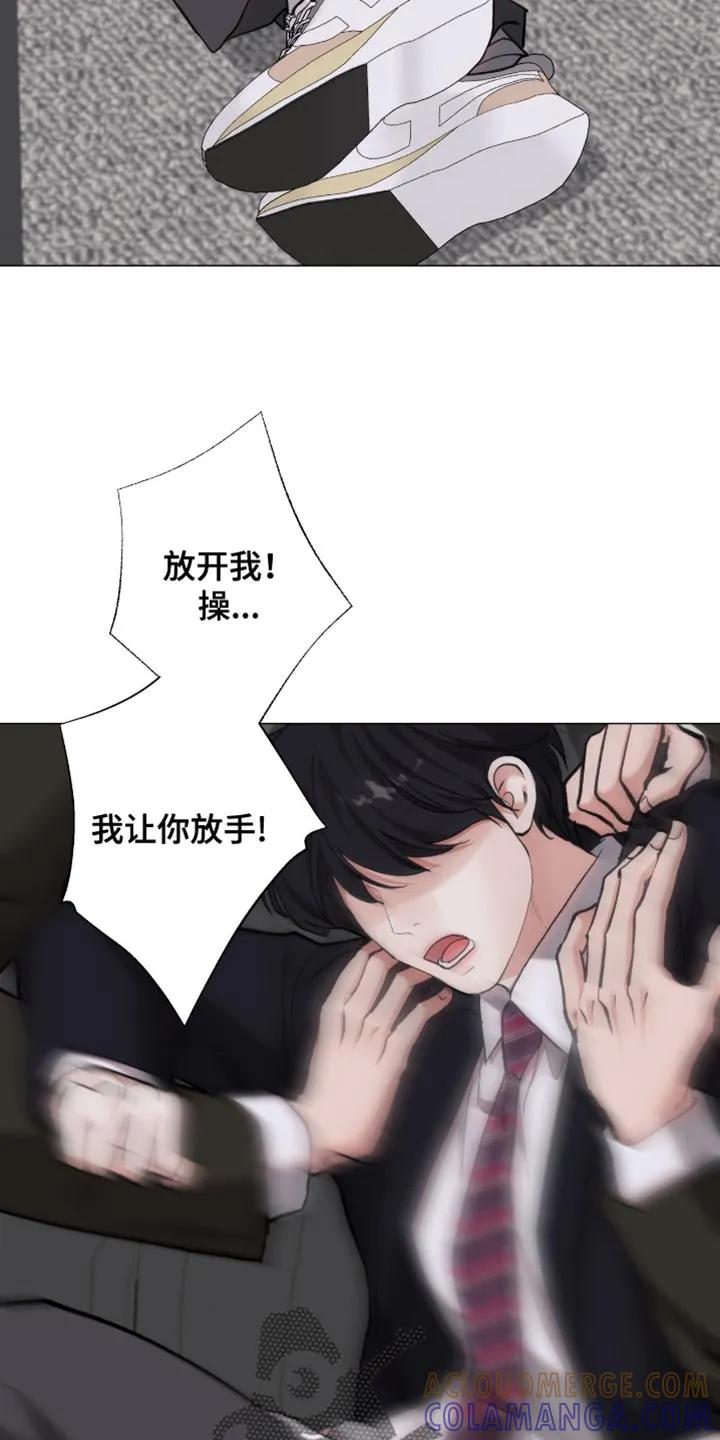 《海岛人生》第100章：【第二季】不让他逃跑 第25页