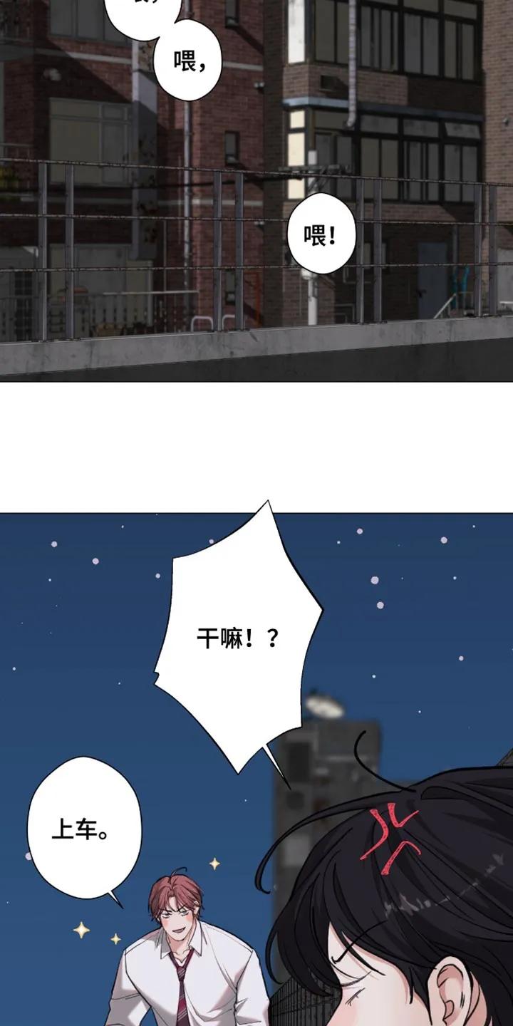 《海岛人生》第100章：【第二季】不让他逃跑 第10页