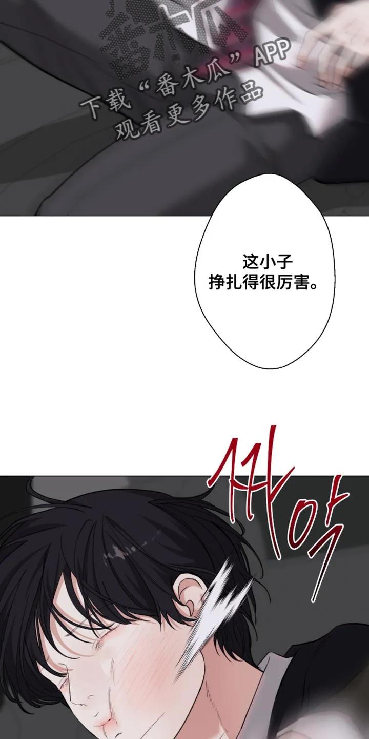《海岛人生》第100章：【第二季】不让他逃跑 第26页