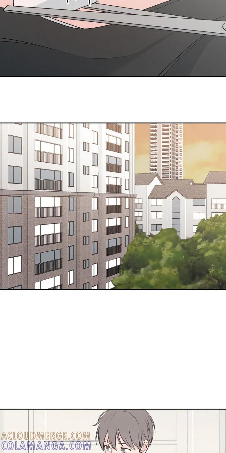 《双生痕》第14章：去哪里 第19页