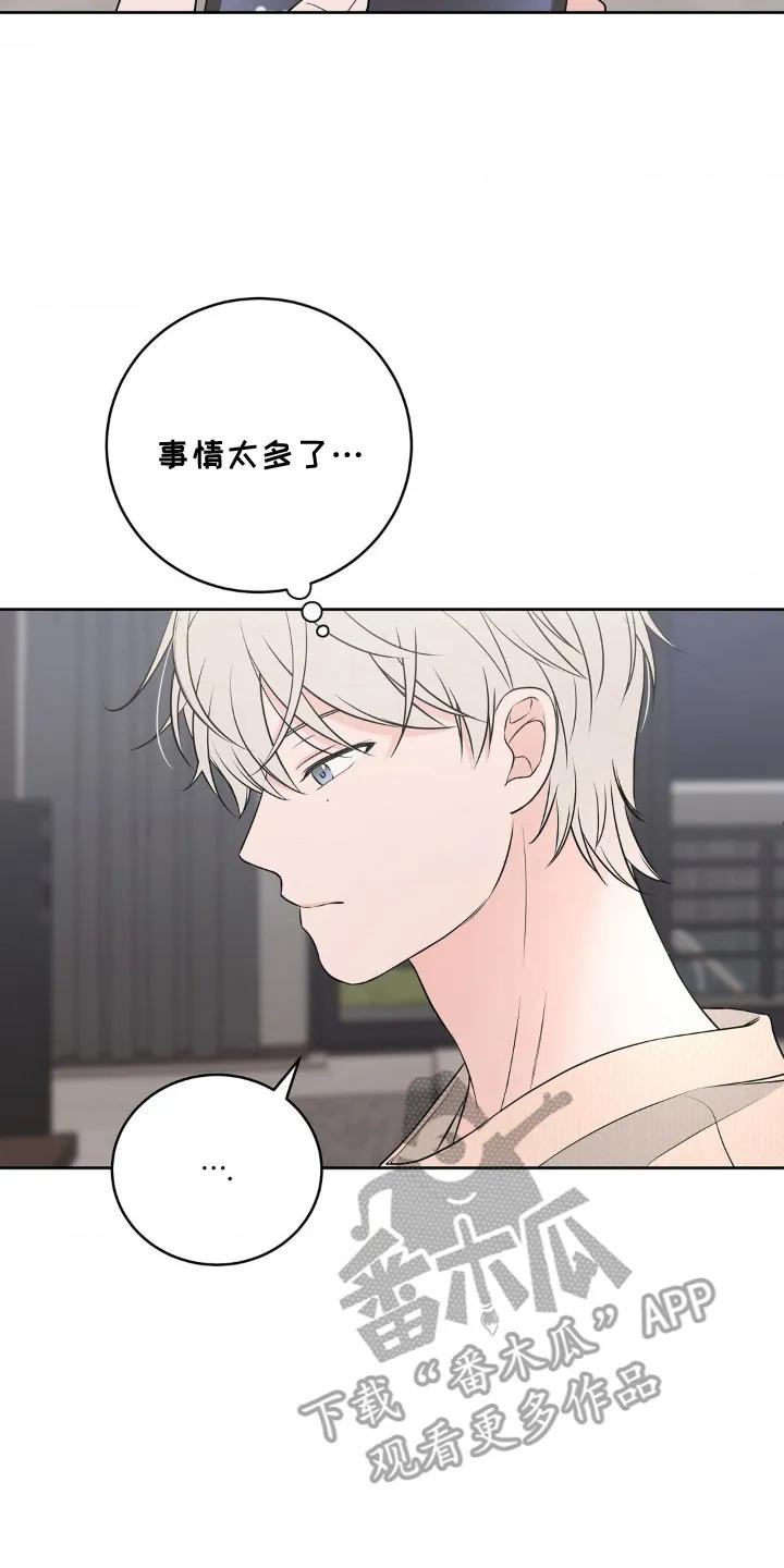 《双生痕》第16章：做什么 第2页