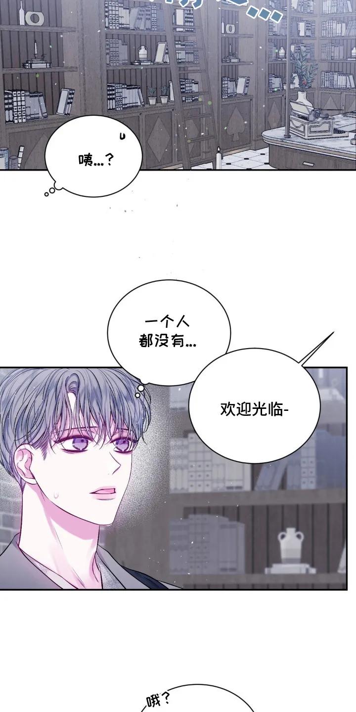 《不完整的空白》第2章：猫咪书店 第18页