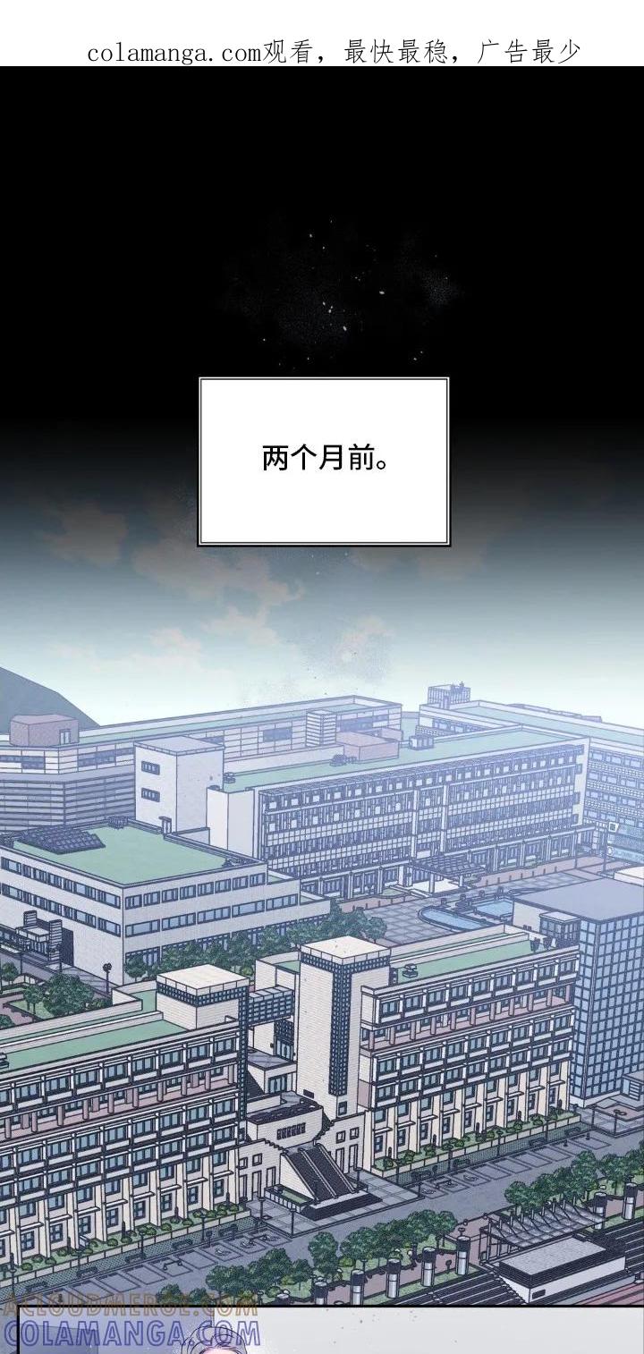 《不完整的空白》第2章：猫咪书店 第1页