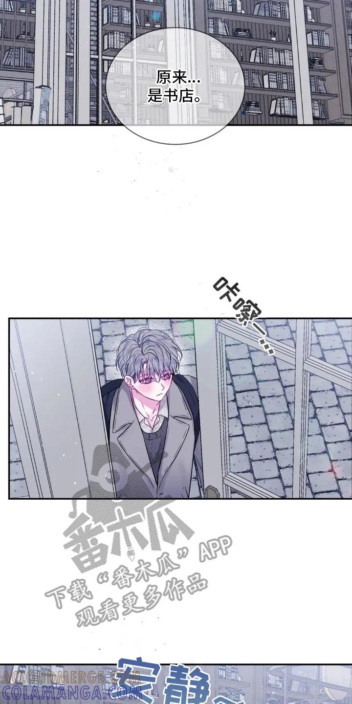 《不完整的空白》第2章：猫咪书店 第17页