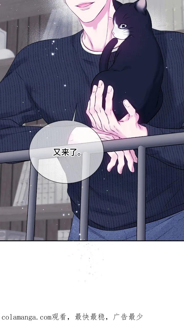 《不完整的空白》第2章：猫咪书店 第20页