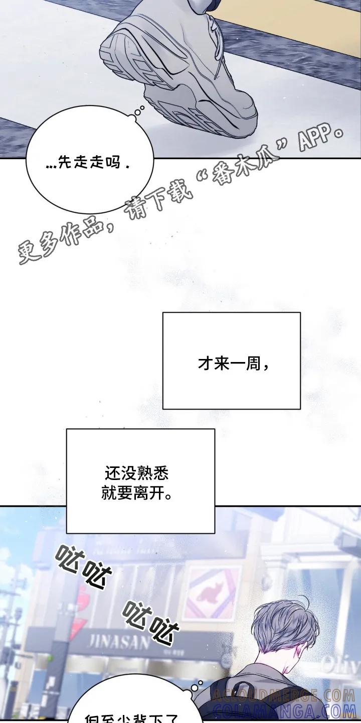 《不完整的空白》第2章：猫咪书店 第11页