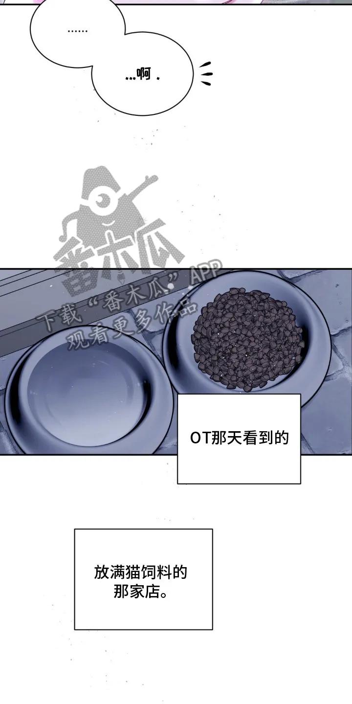 《不完整的空白》第2章：猫咪书店 第14页