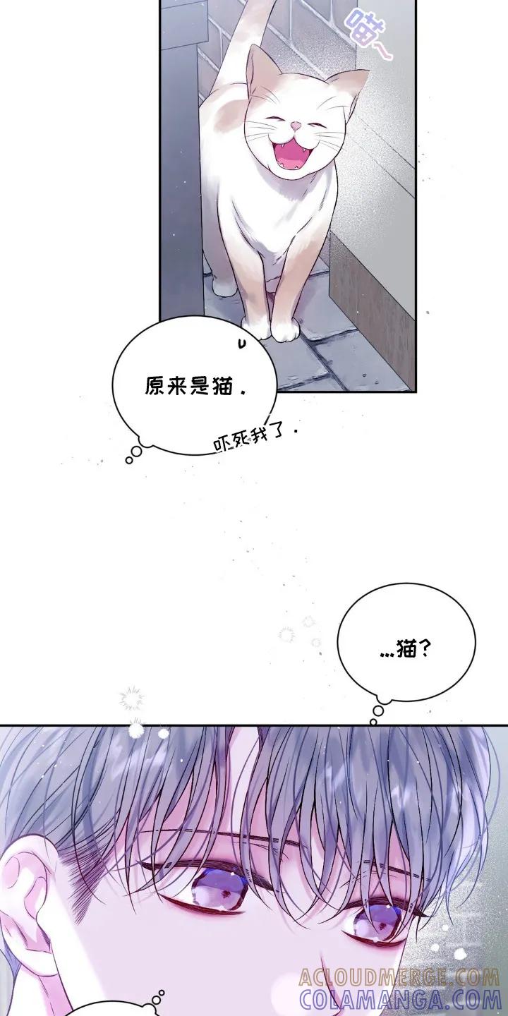 《不完整的空白》第2章：猫咪书店 第13页