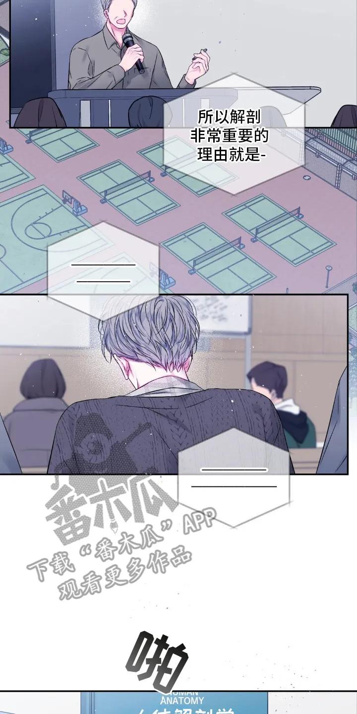 《不完整的空白》第2章：猫咪书店 第2页