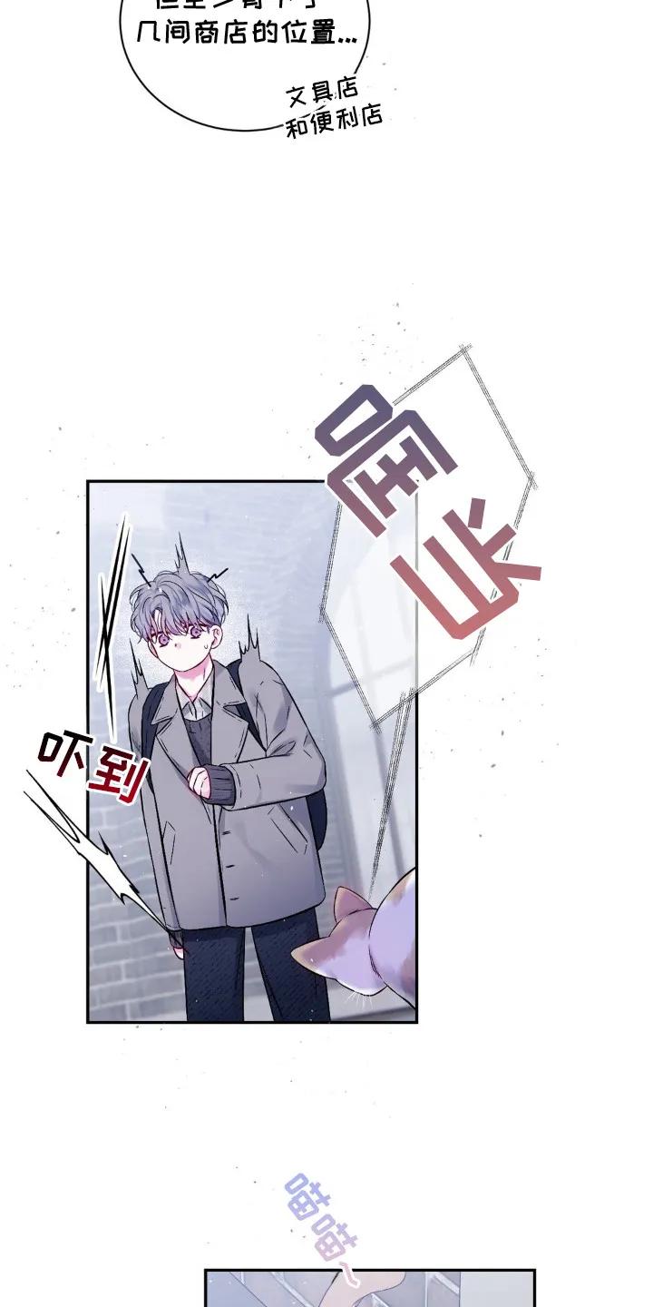 《不完整的空白》第2章：猫咪书店 第12页