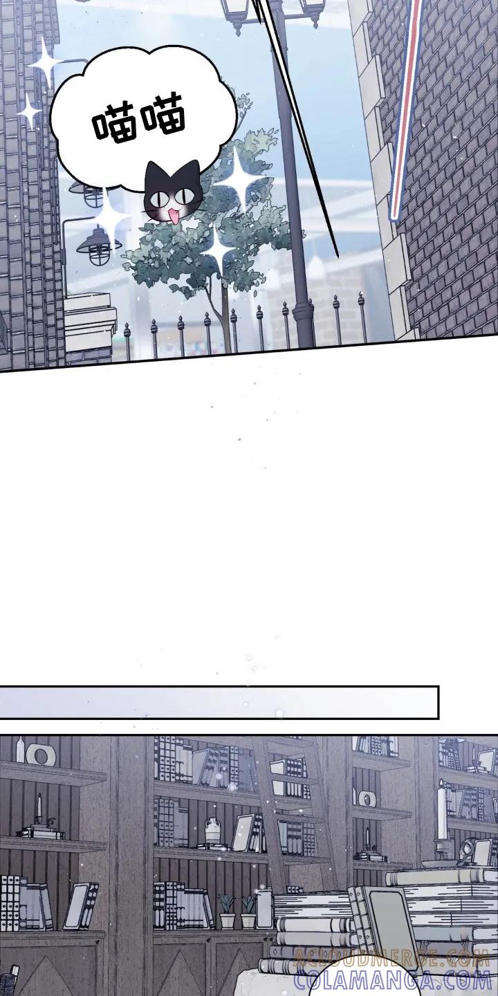 《不完整的空白》第4章：逃跑 第15页