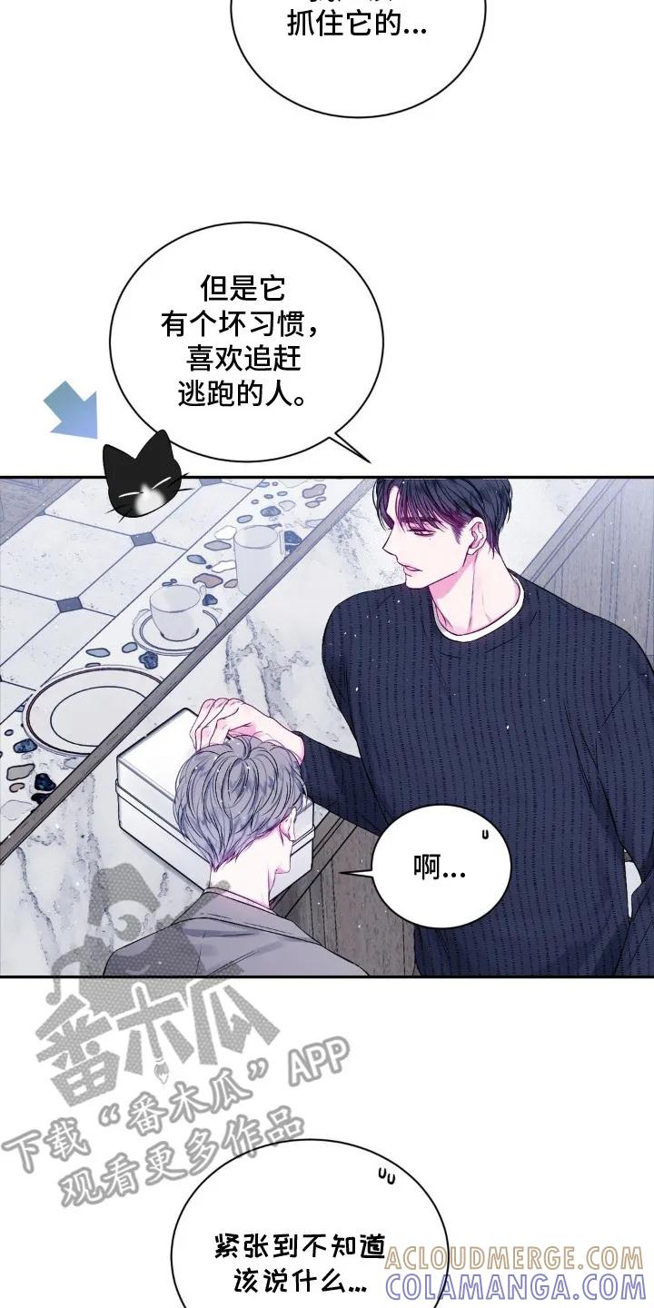 《不完整的空白》第4章：逃跑 第17页