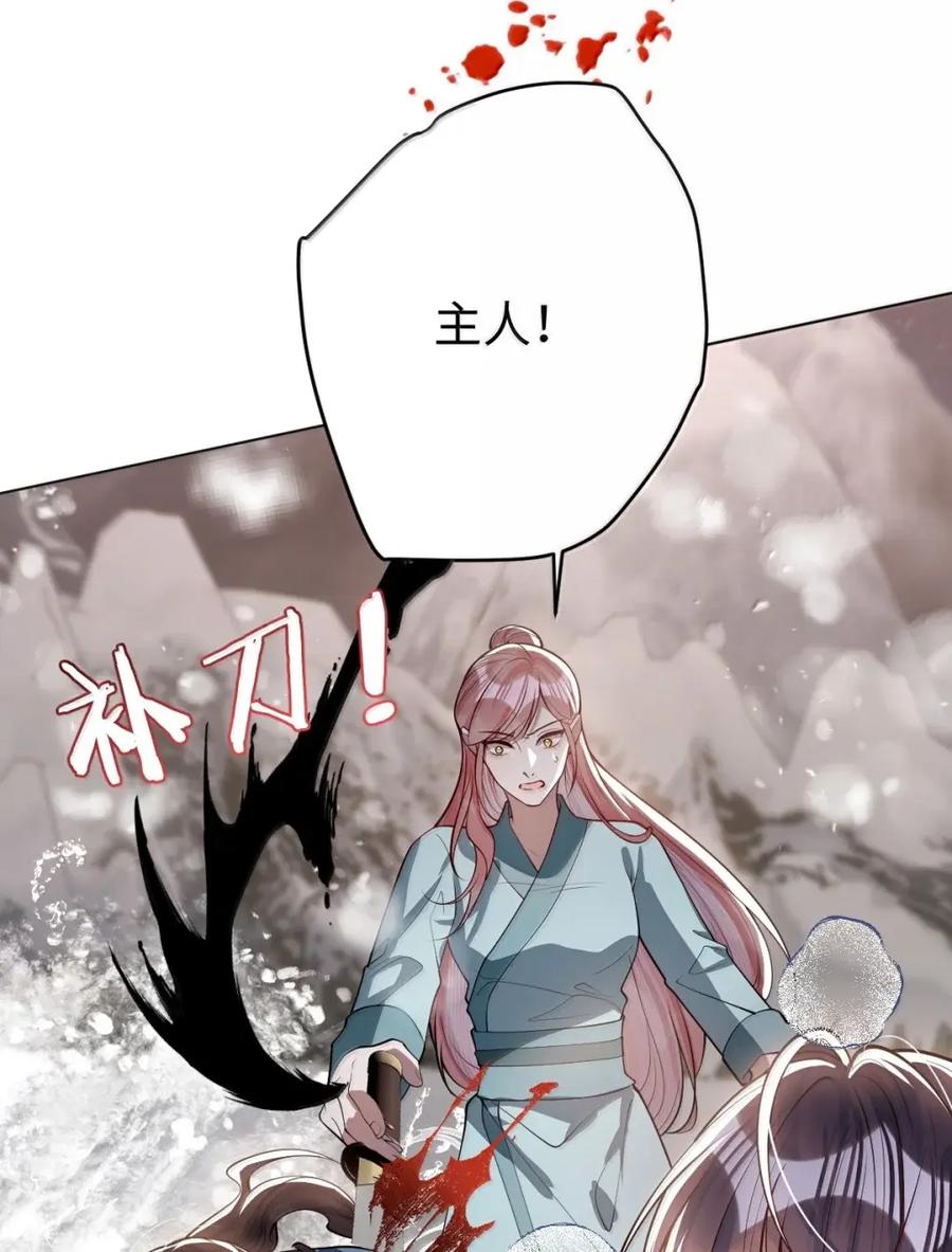 娇养了个疯批美人儿 071 凶险 第27页