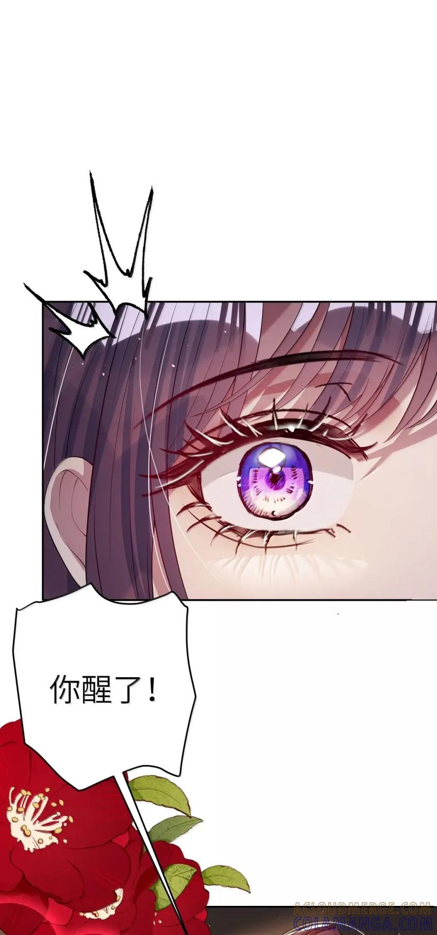 娇养了个疯批美人儿 072 偏要强求 第25页