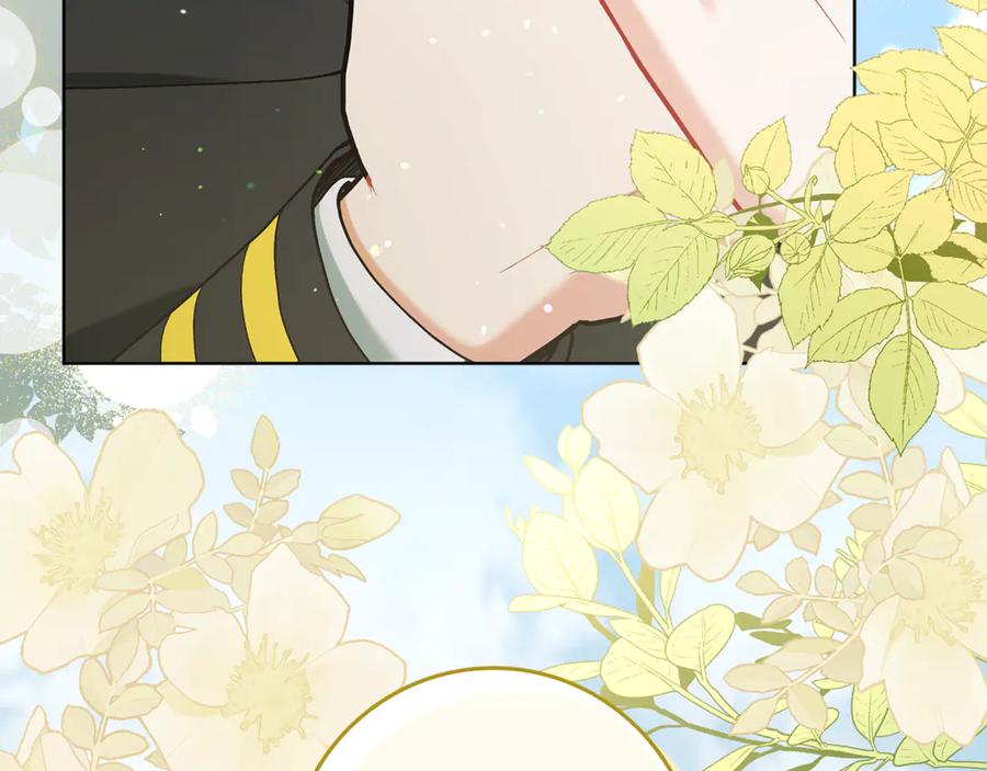 不幸的骑士，请和姐姐恋爱吧 - 第4话 我想嫁的人是你哥 - 第120张图