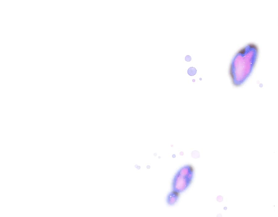 不幸的骑士，请和姐姐恋爱吧 - 第47话 寻找证人 - 第26张图