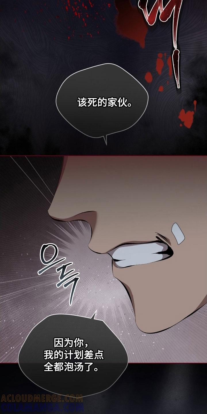 《法外狂徒》第66章：【第二季】菜鸟 第15页