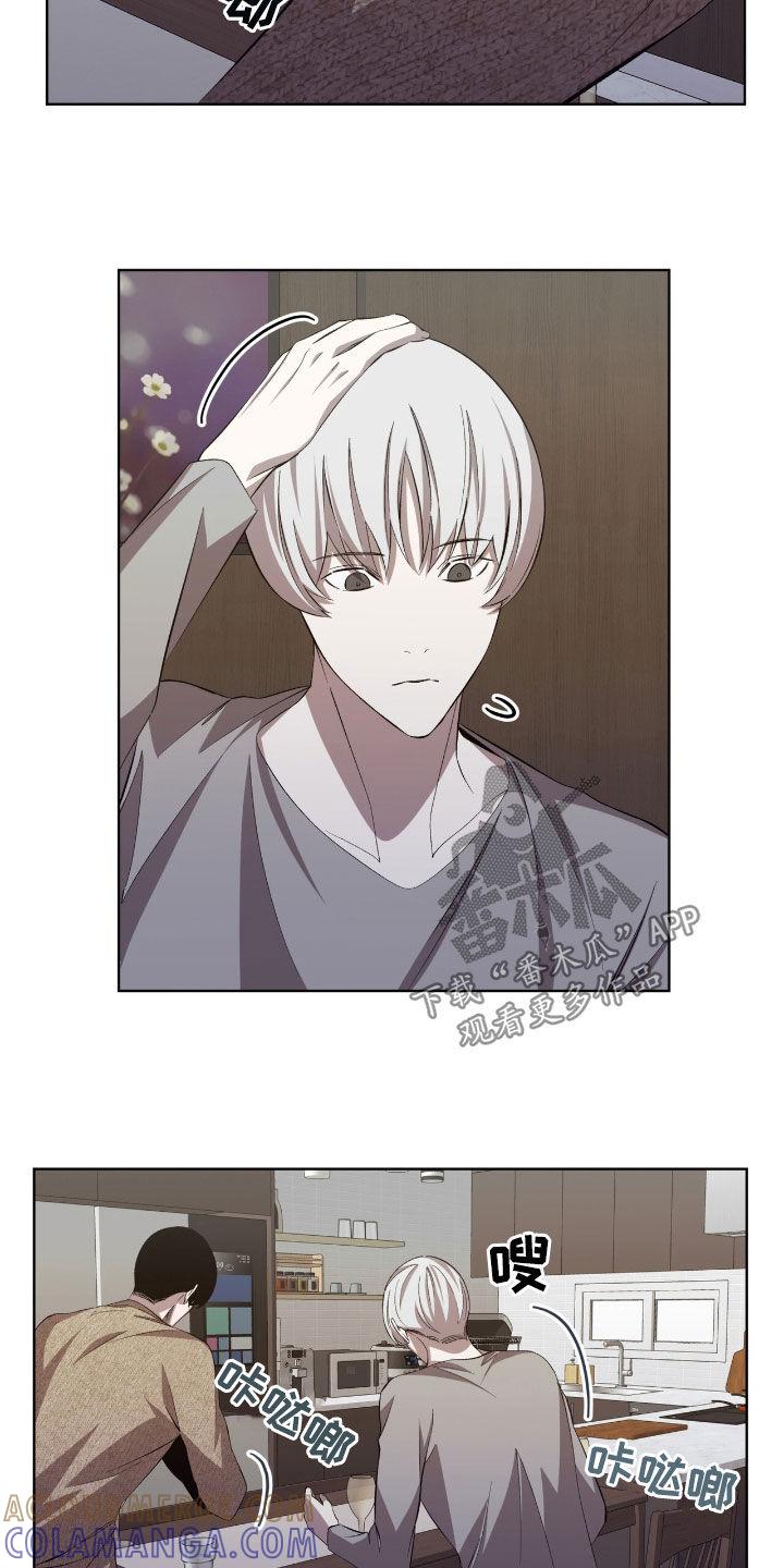 《法外狂徒》第53章：这是个悲剧 第5页