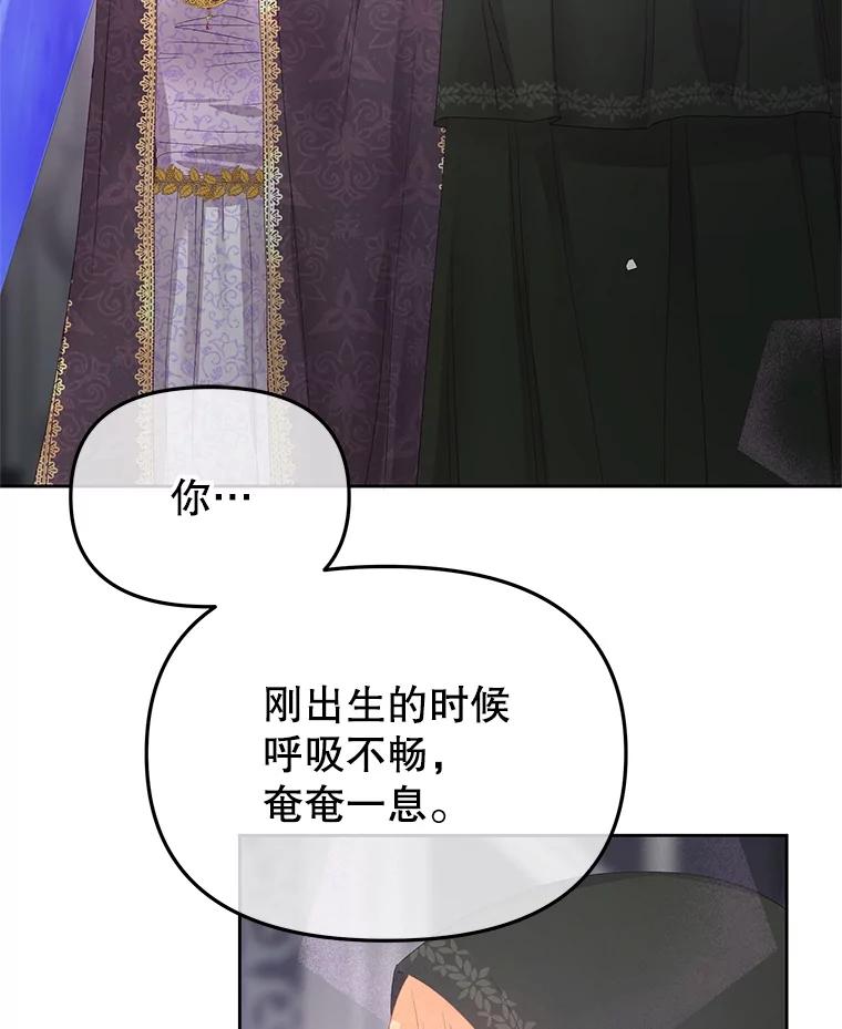 《不要相信那本日记》101.见到二皇子 第2页