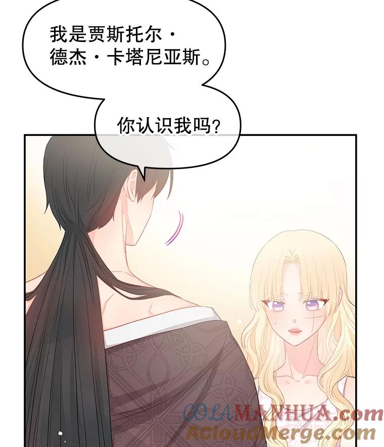 《不要相信那本日记》11.皇太子贾斯托尔 第49页