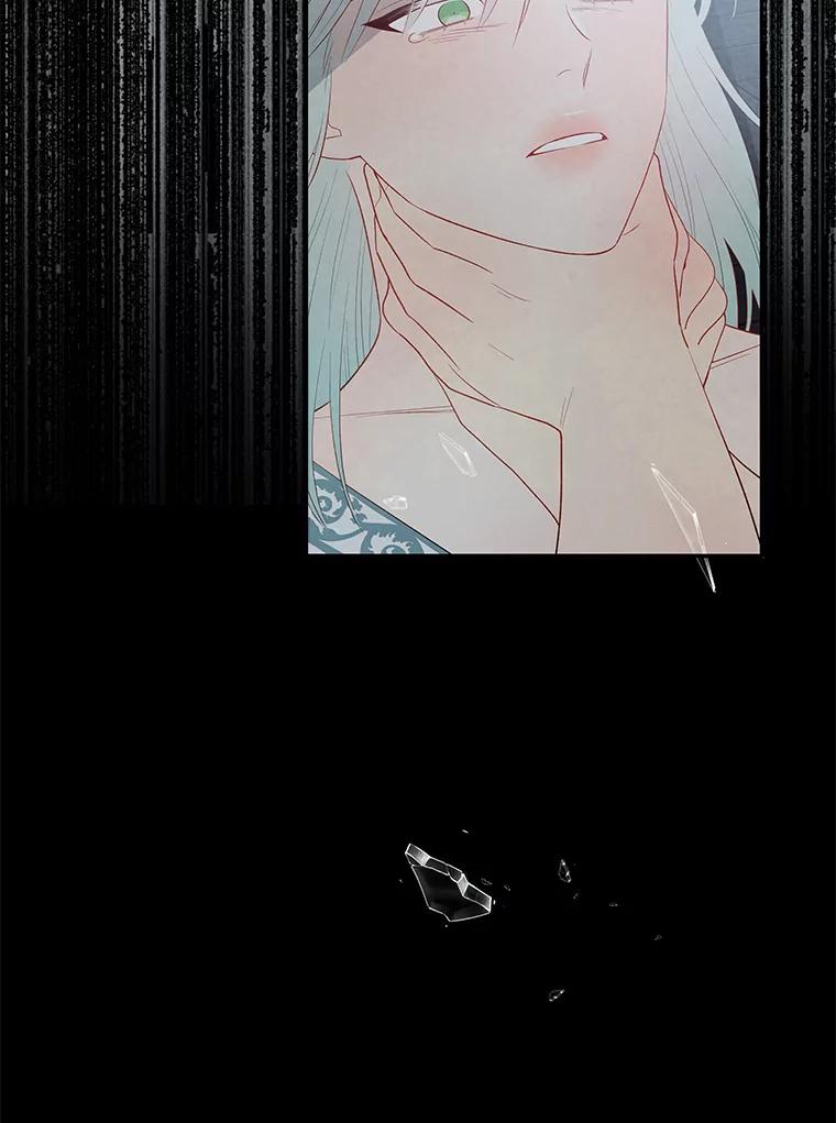《不要相信那本日记》16.轮回的终结 第116页
