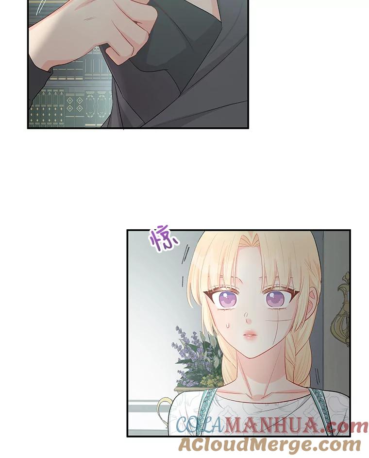 《不要相信那本日记》20.同盟 第67页