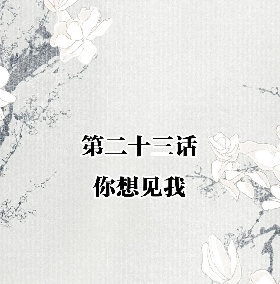 不小心救了江湖公敌 023 你想见我 第2页