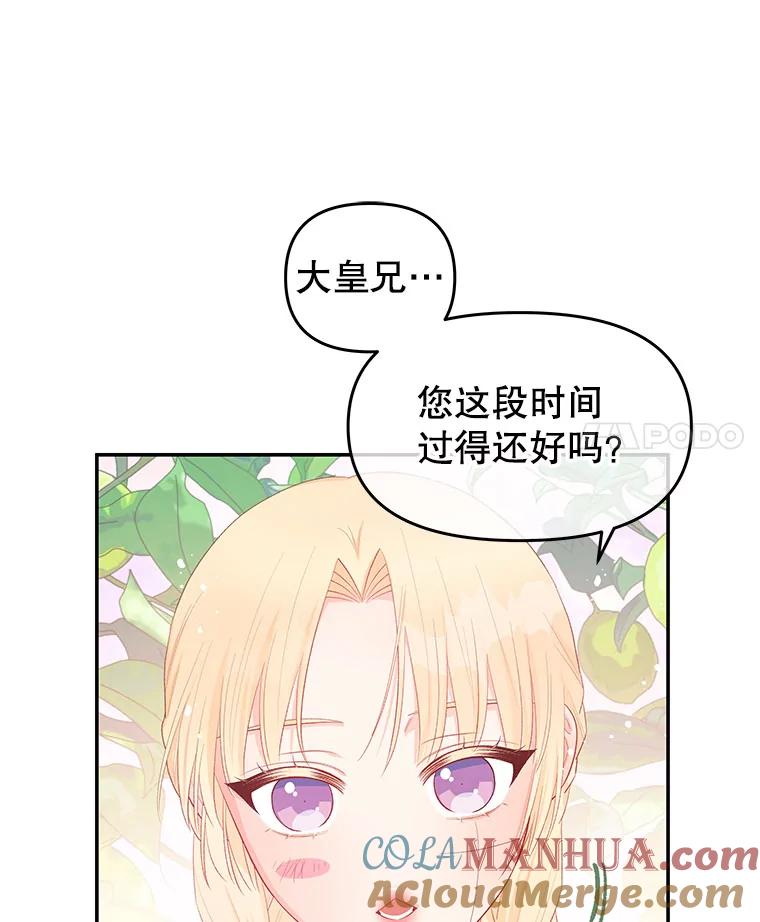 《不要相信那本日记》25.又见皇太子 第29页