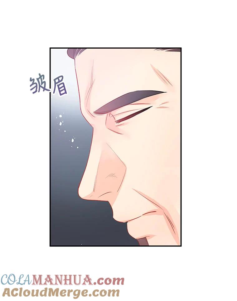 《不要相信那本日记》26.将公主殿下交给我保护 第37页
