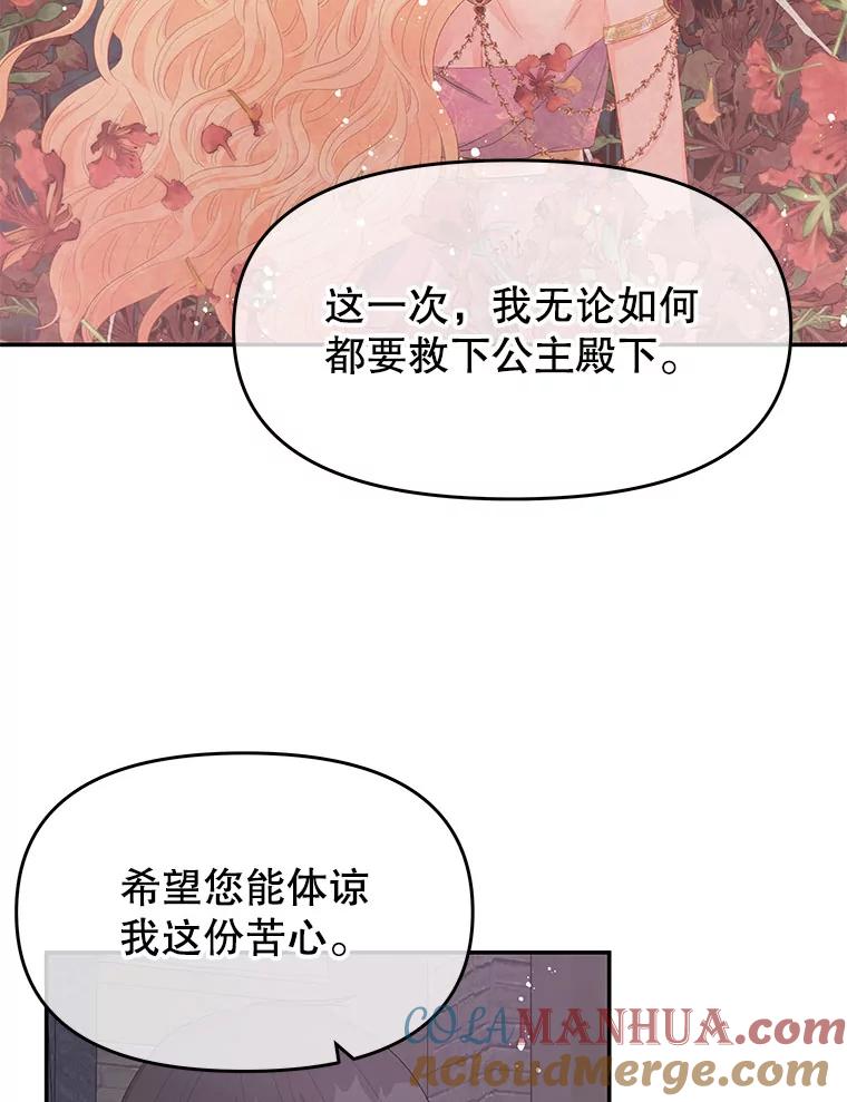 《不要相信那本日记》26.将公主殿下交给我保护 第46页