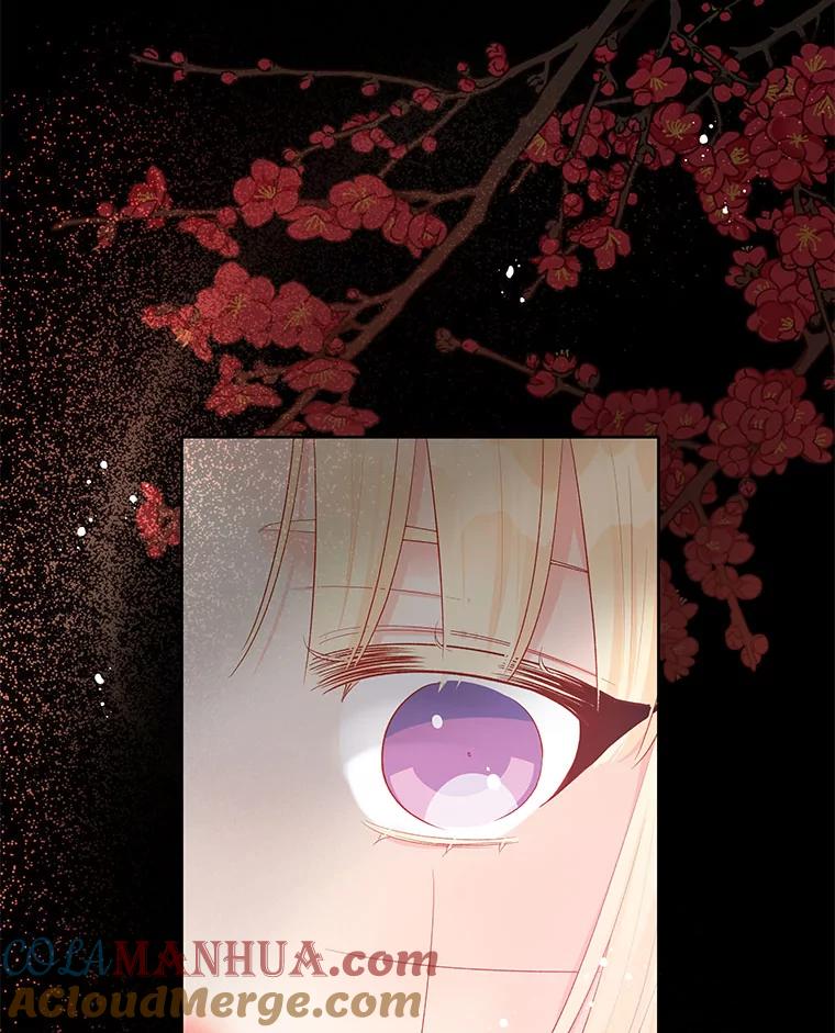 《不要相信那本日记》27.赫尔南德斯的歉意（1） 第15页