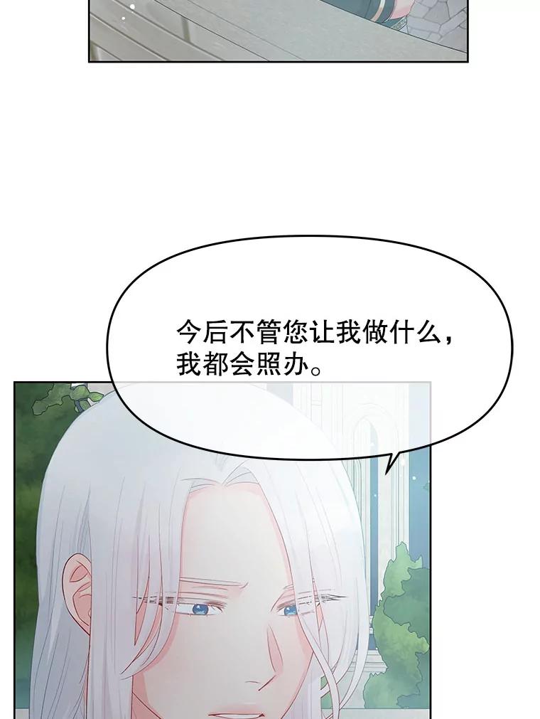 《不要相信那本日记》27.赫尔南德斯的歉意（1） 第41页