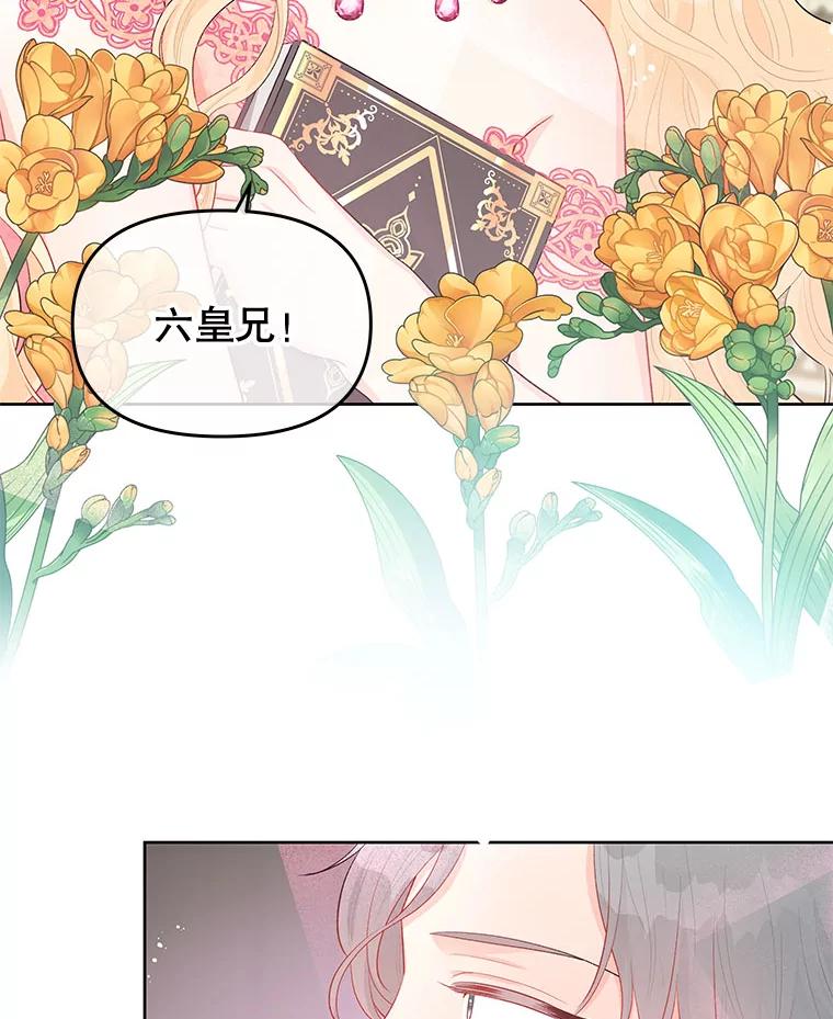 《不要相信那本日记》29.照顾好皇妹 第20页