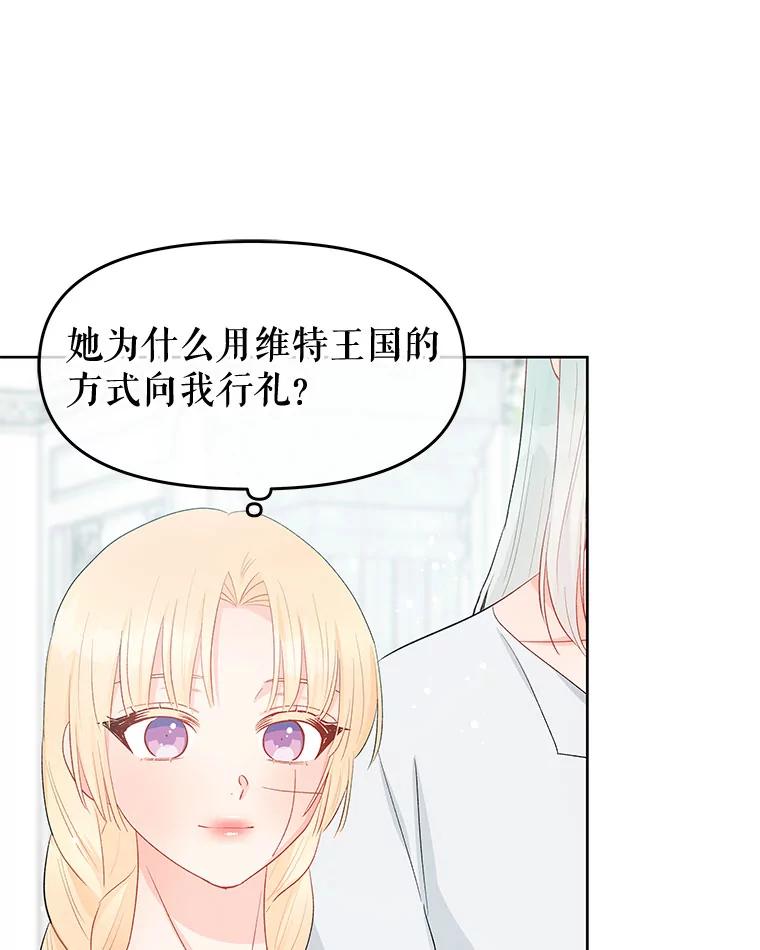 《不要相信那本日记》33.寻找侍女 第33页