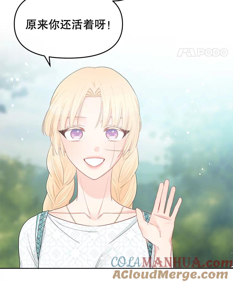 《不要相信那本日记》38.宫女 第43页