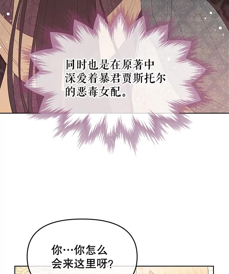 《不要相信那本日记》39.恶毒女配 第29页