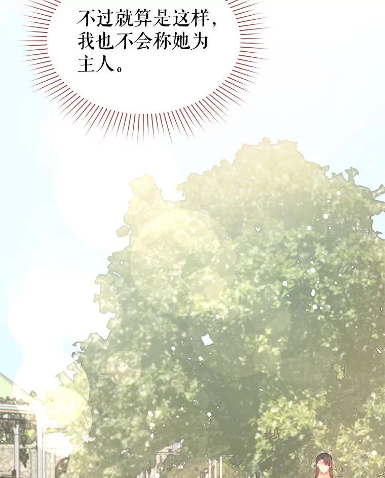 《不要相信那本日记》41.认主 第12页