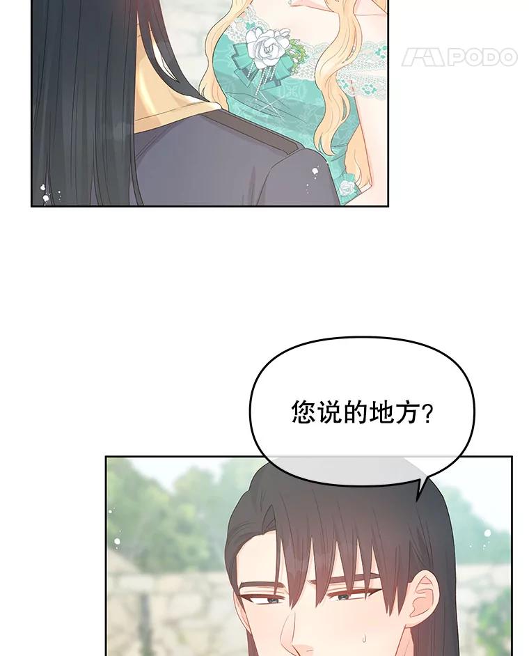 《不要相信那本日记》41.认主 第8页