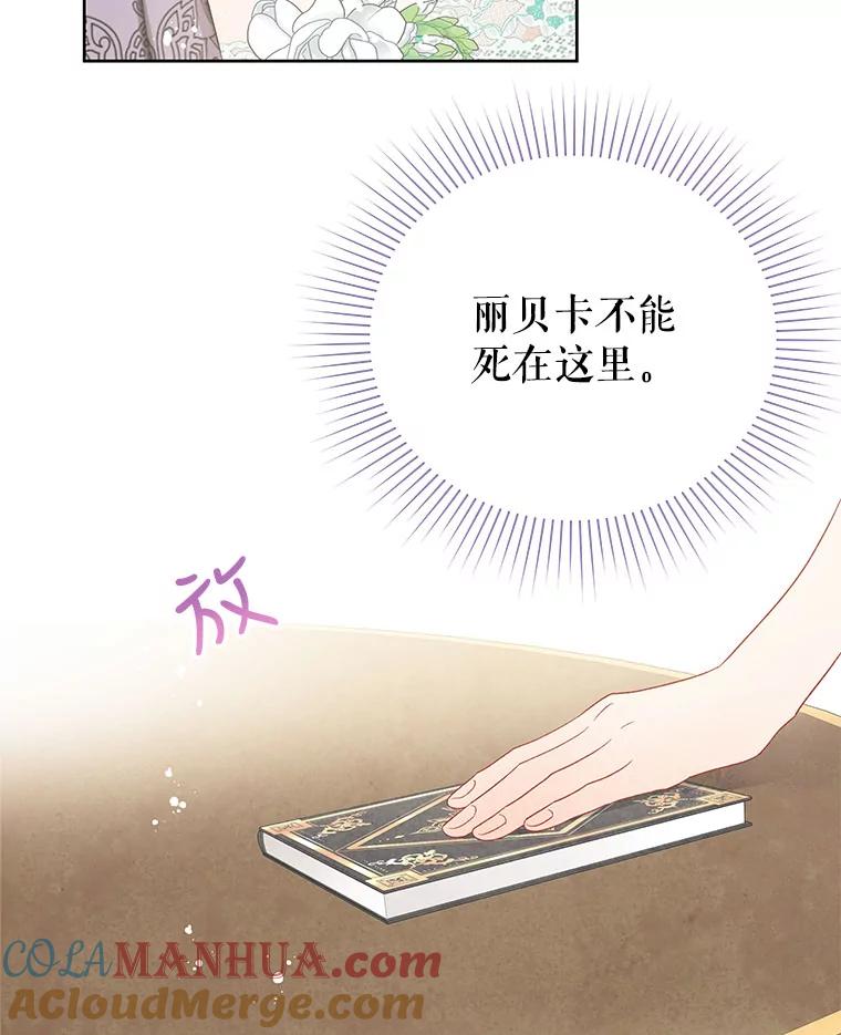 《不要相信那本日记》41.认主 第64页