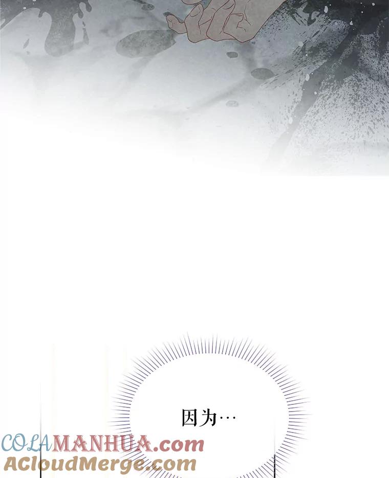 《不要相信那本日记》41.认主 第67页