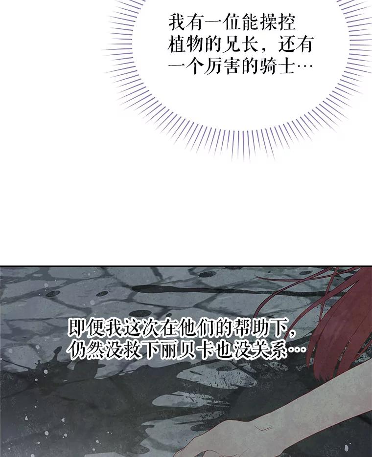 《不要相信那本日记》41.认主 第66页