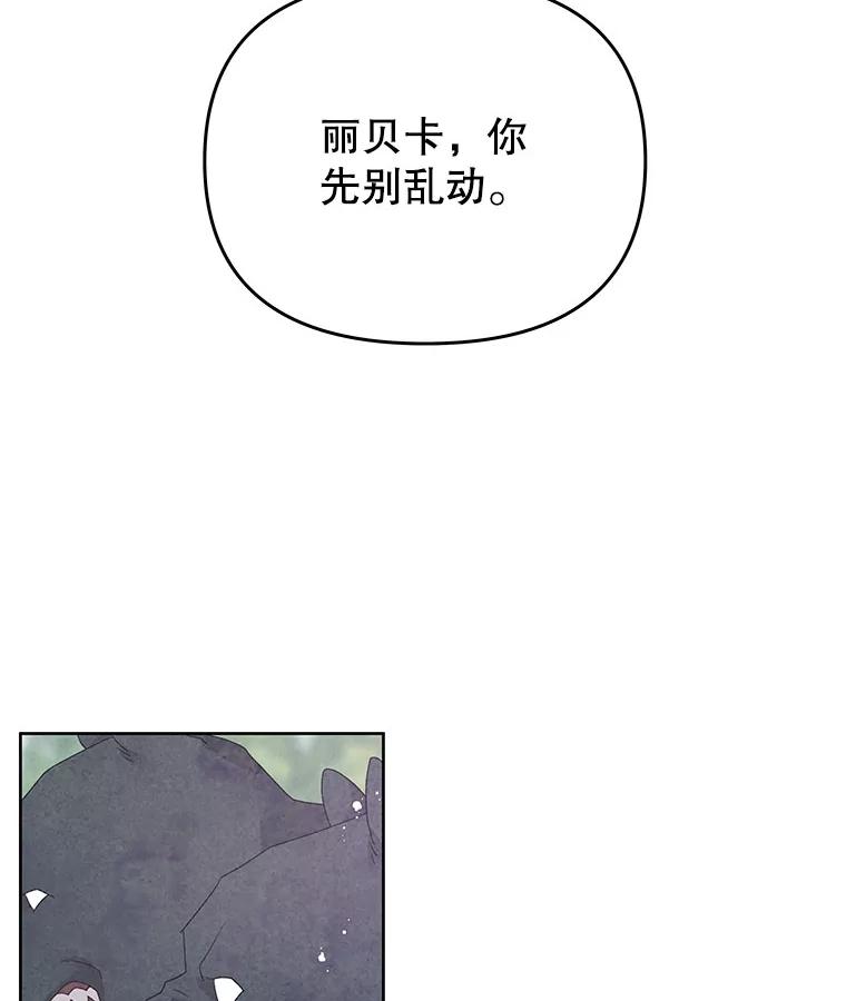 《不要相信那本日记》42.建国庆典 第17页