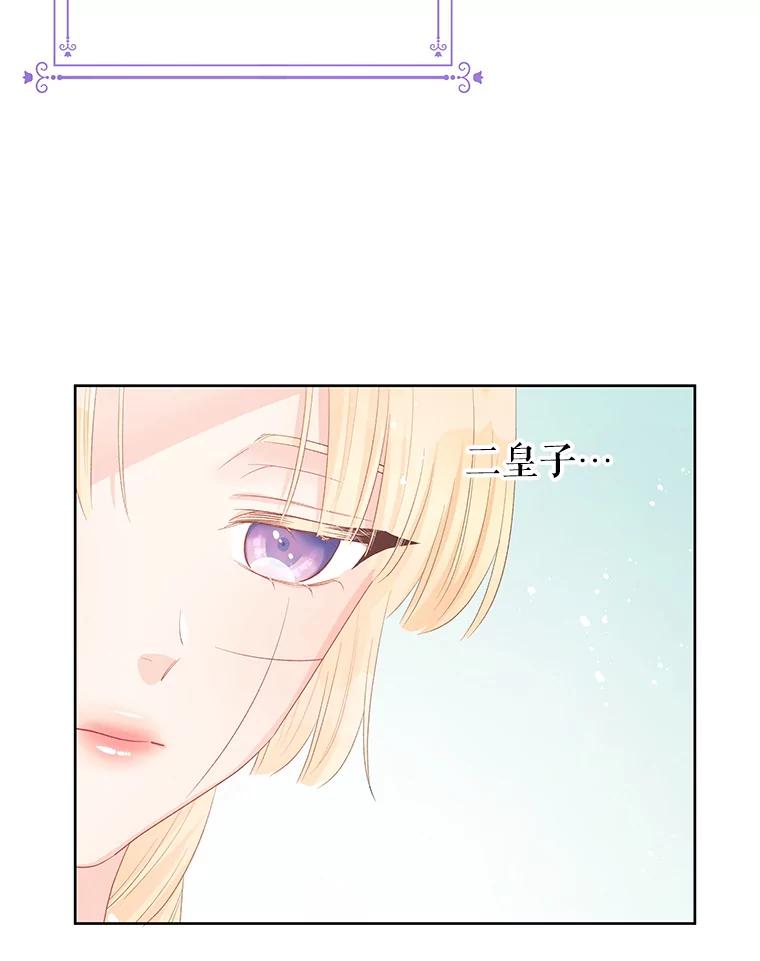 《不要相信那本日记》46.二皇子 第65页