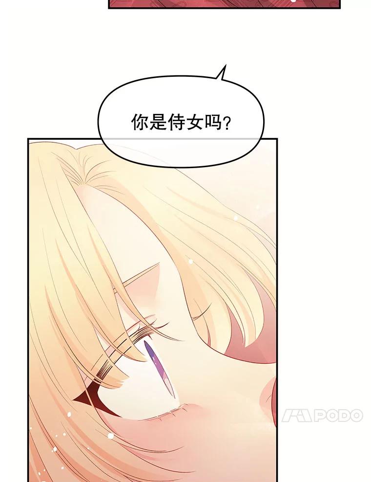 《不要相信那本日记》3.初见四皇子 第103页