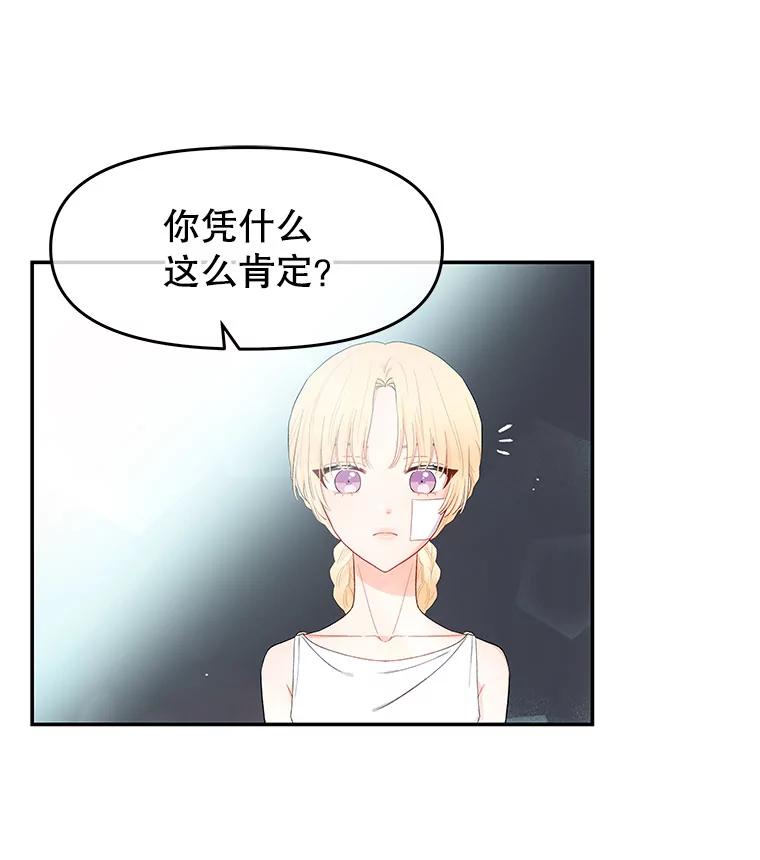 《不要相信那本日记》3.初见四皇子 第31页