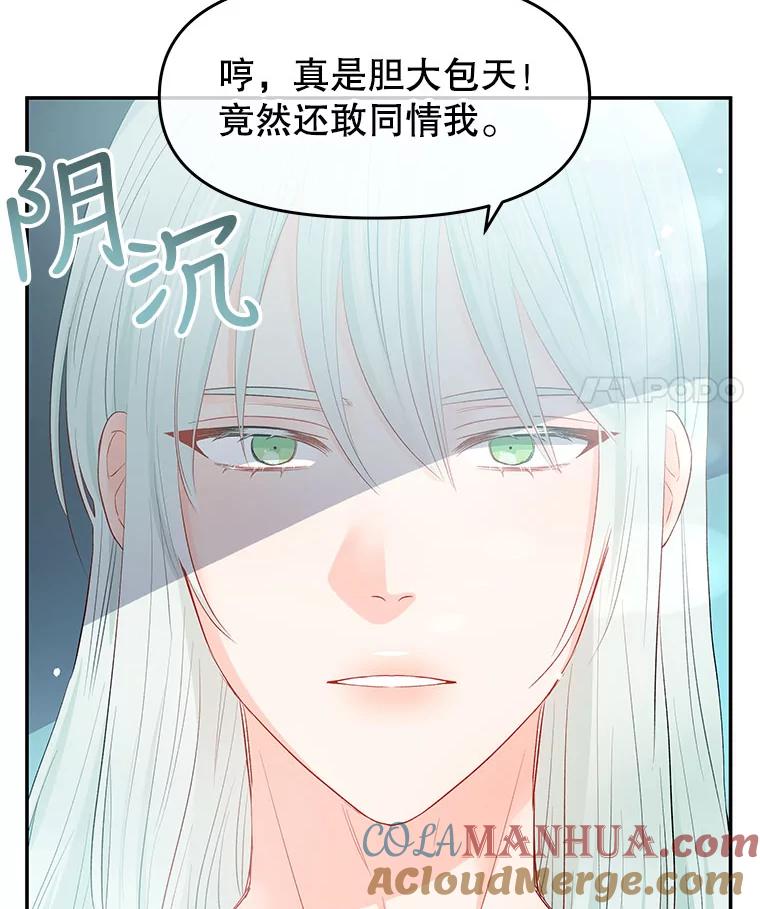 《不要相信那本日记》3.初见四皇子 第25页