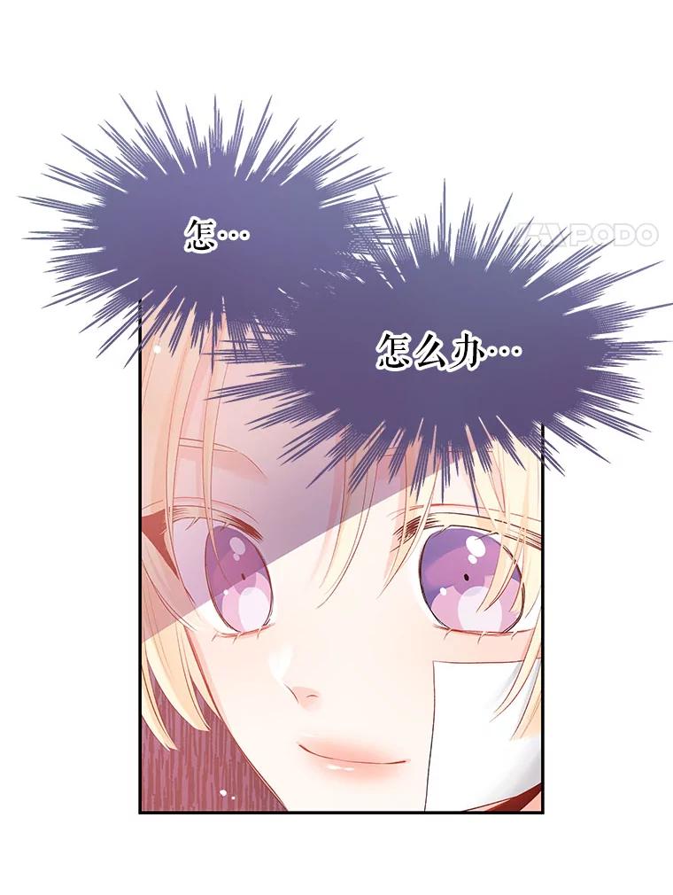 《不要相信那本日记》3.初见四皇子 第66页