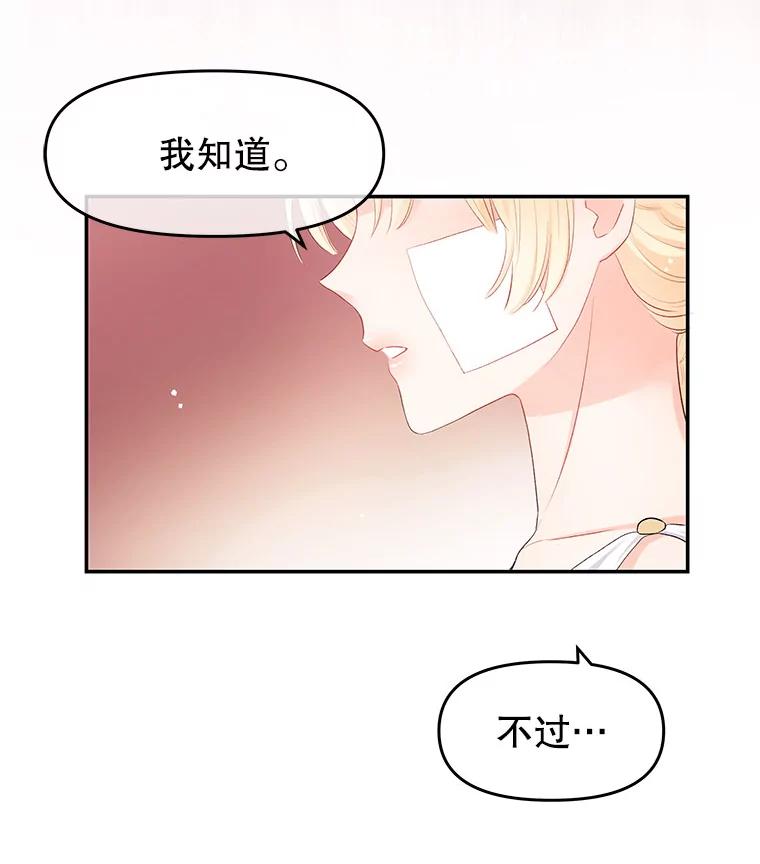 《不要相信那本日记》3.初见四皇子 第54页