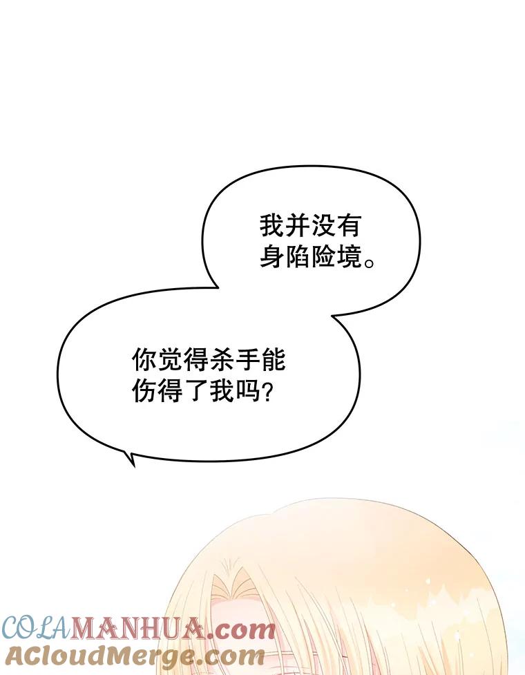 《不要相信那本日记》49.杀手 第52页